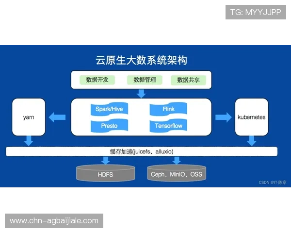 欧博真人网站的支付方式多样化满足不同地区玩家的便捷需求